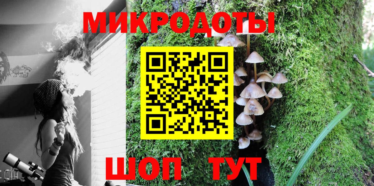 Тихорецк  Псилоцибиновые грибы Psilocybe  Псилоцибиновые грибы Magic Shrooms  Вход с VPN 